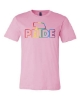 Picture of NE Pride Outline T-shirt