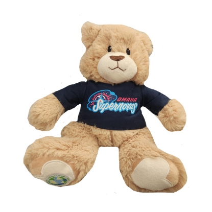 Picture of Supernovas Recycled Bear