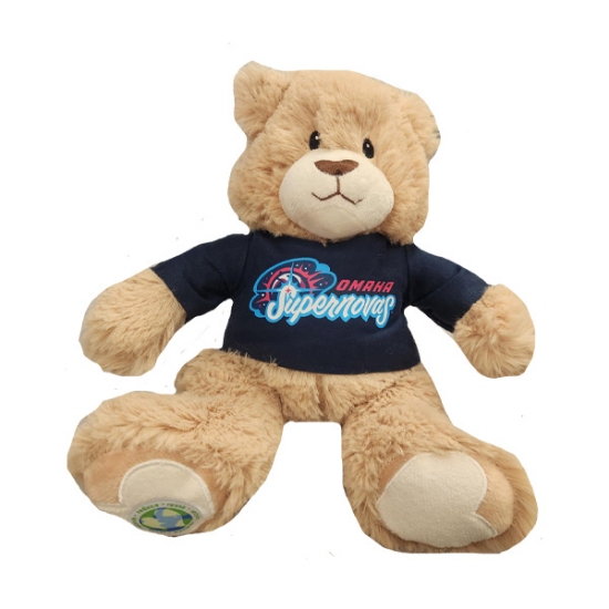 Picture of Supernovas Recycled Bear